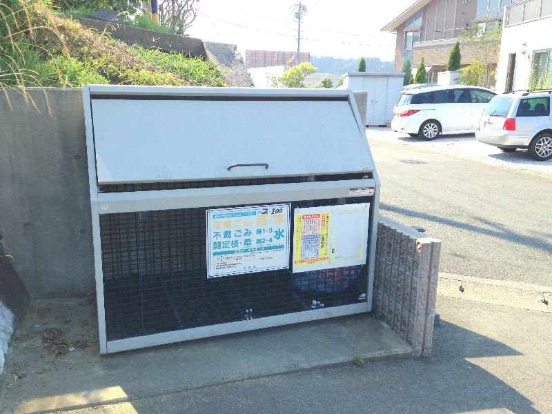 Ｌｕｐｉｎｕｓ その他外観3