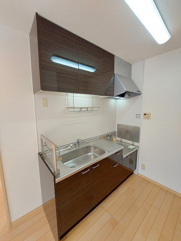 ヴェルドミール愛 その他4