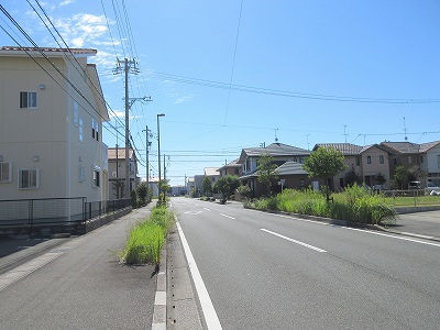 ヴェルドミール愛 その他10