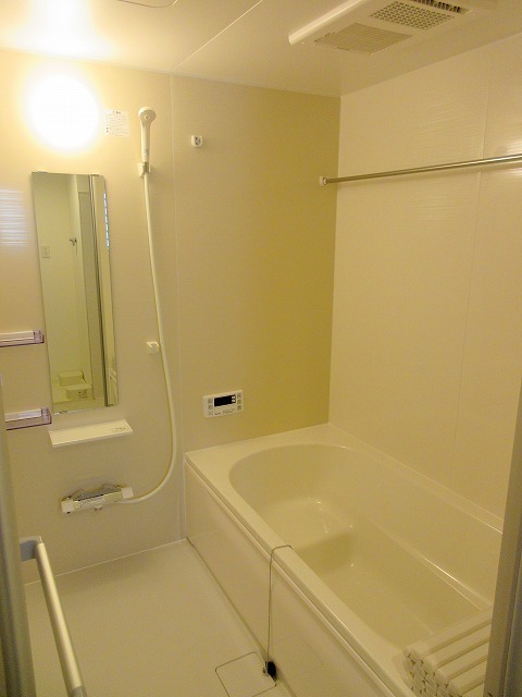 Ｆｅｌｓｅｎ その他5