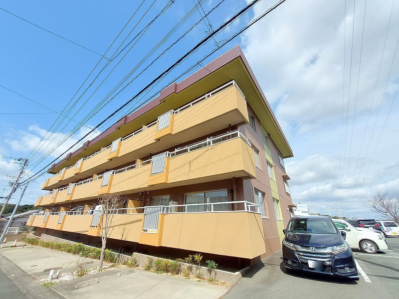 ＬＵＭＩＵＳ　ＳＡＮＡＲＵＤＡＩ その他2