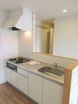 ＬＵＭＩＵＳ　ＳＡＮＡＲＵＤＡＩ その他4