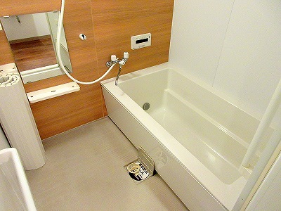 ＬＵＭＩＵＳ　ＳＡＮＡＲＵＤＡＩ その他5