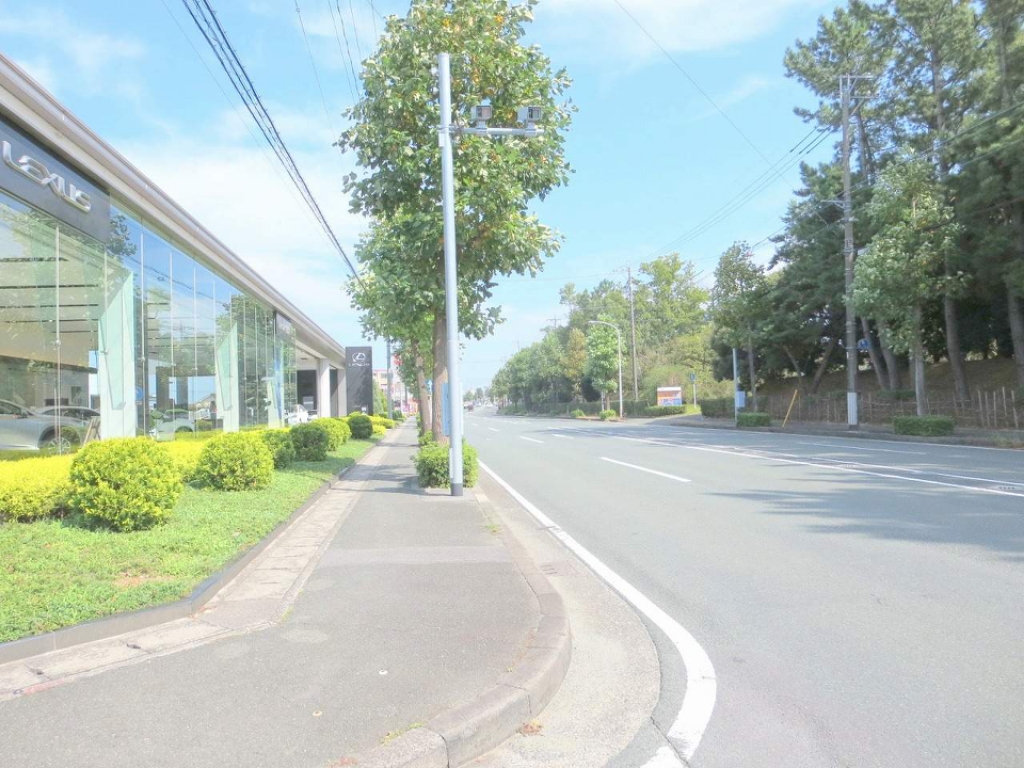 ＬＵＭＩＵＳ　ＳＡＮＡＲＵＤＡＩ その他9