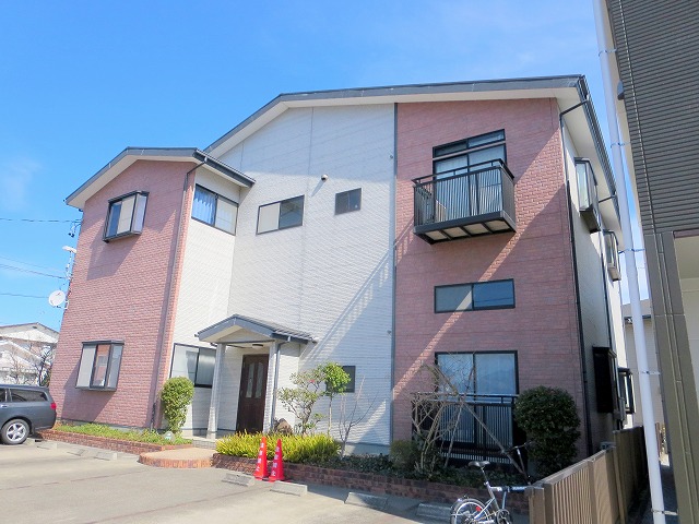 ドルフＫ その他1