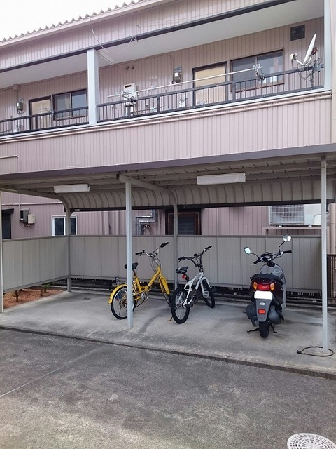 プリムローズ その他5