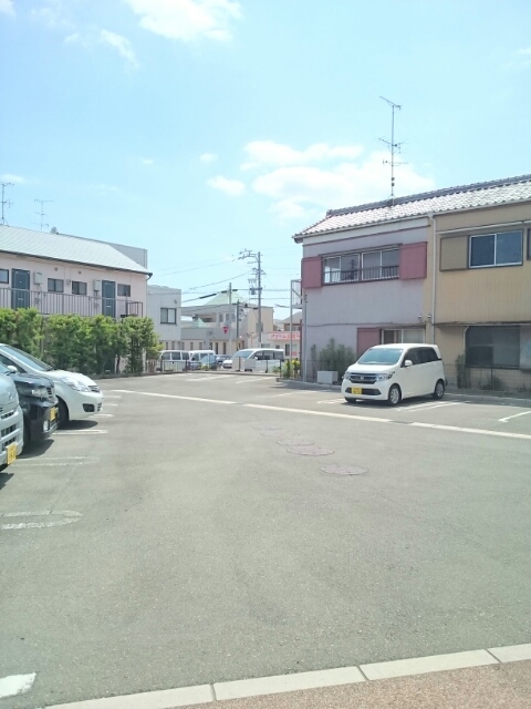 プリムローズ その他6