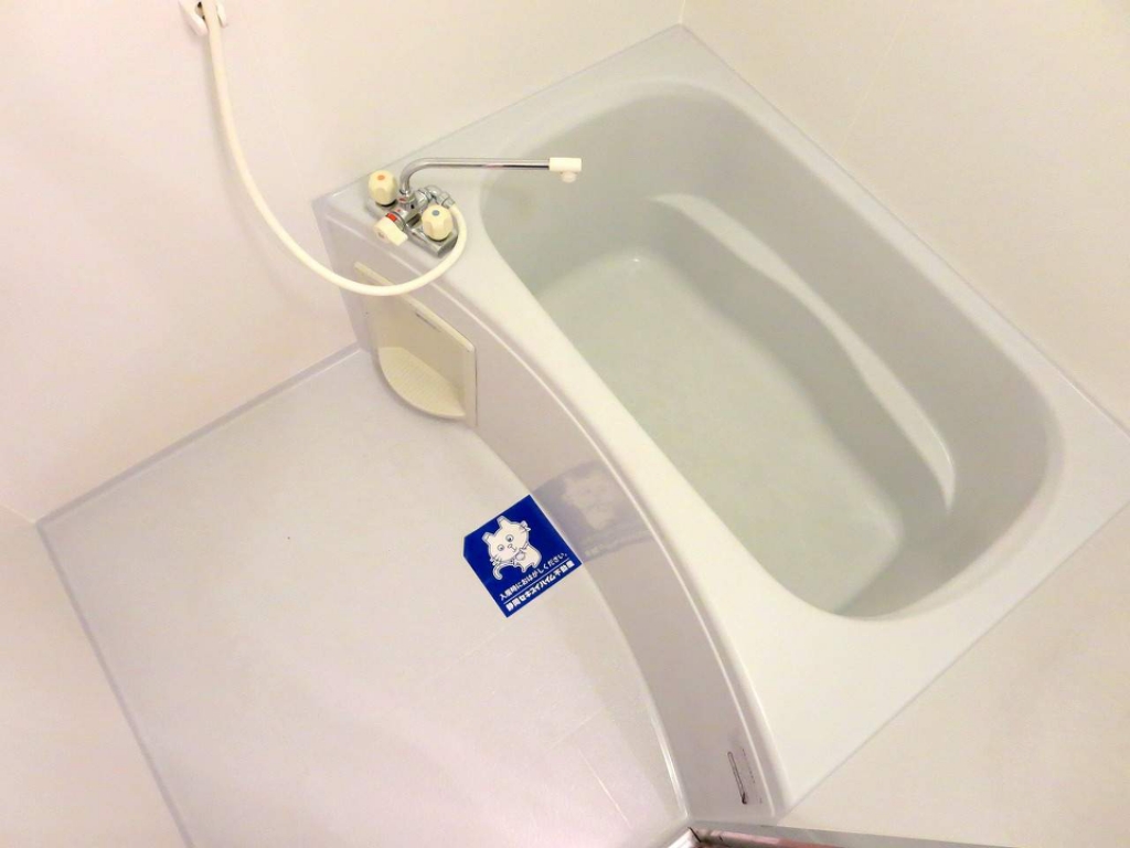 アンセリアＡ その他5