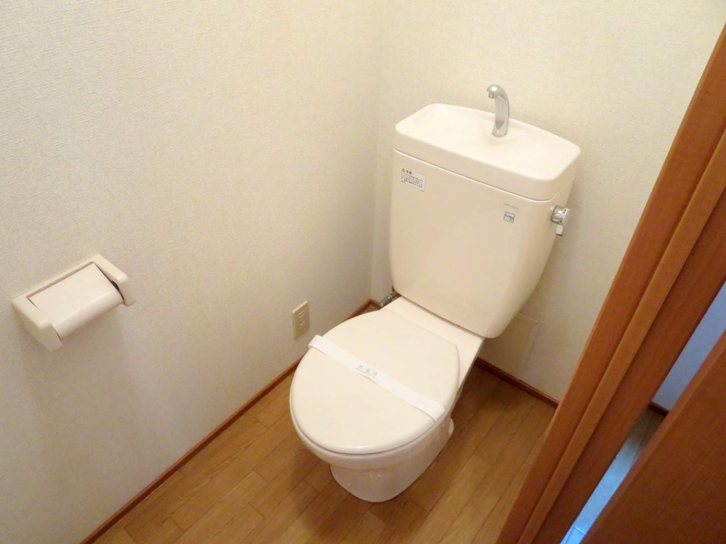 アンセリアＡ その他6