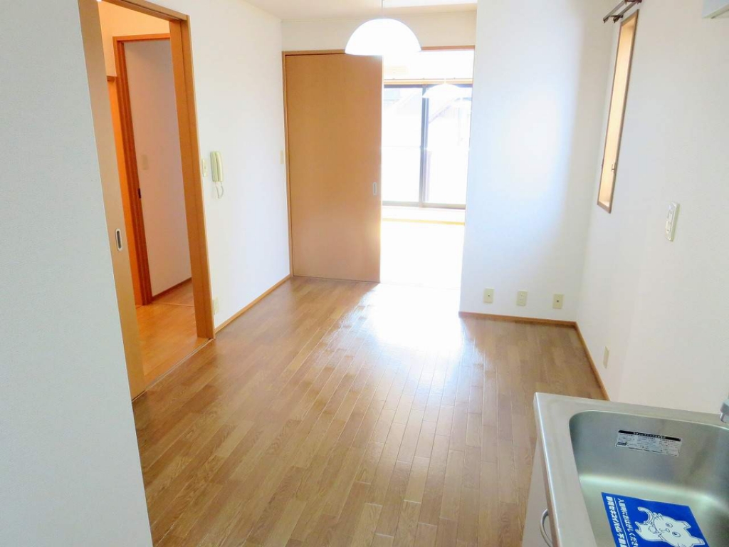 アンセリアＡ その他25