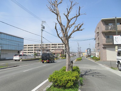 エクシードⅧ その他9