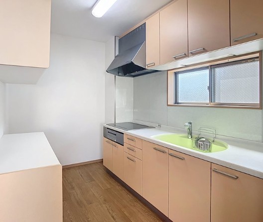 いながわ その他4