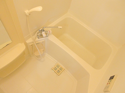 フォルシュ　 その他5