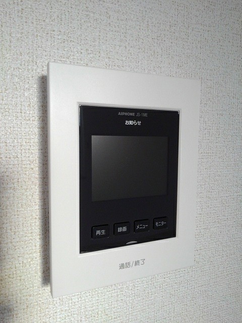 ＳｏｕｔｈＳｕｎＦｌｏｗｅｒ その他7