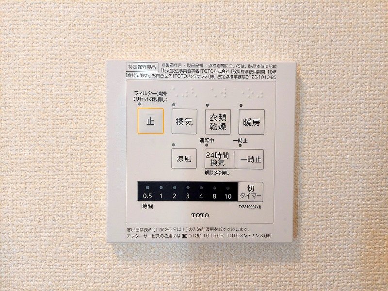 エヴァーグリーン その他10