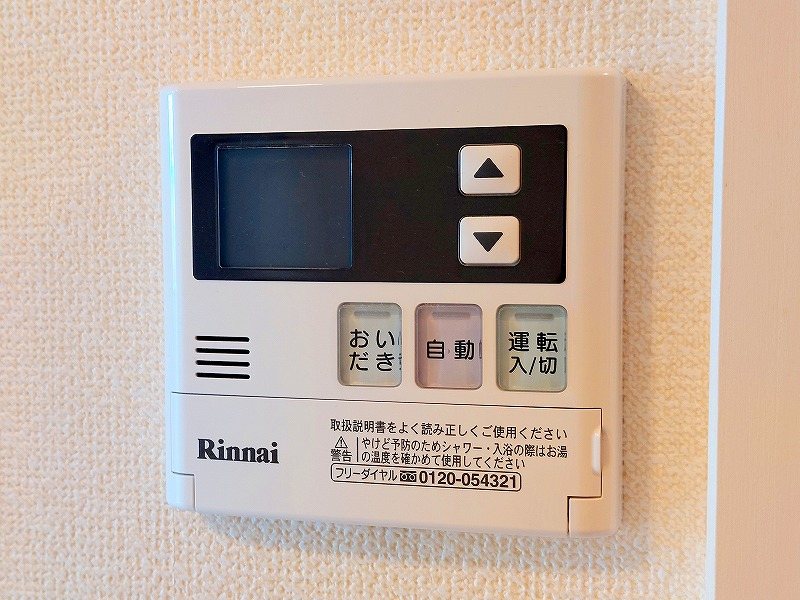 エヴァーグリーン その他12