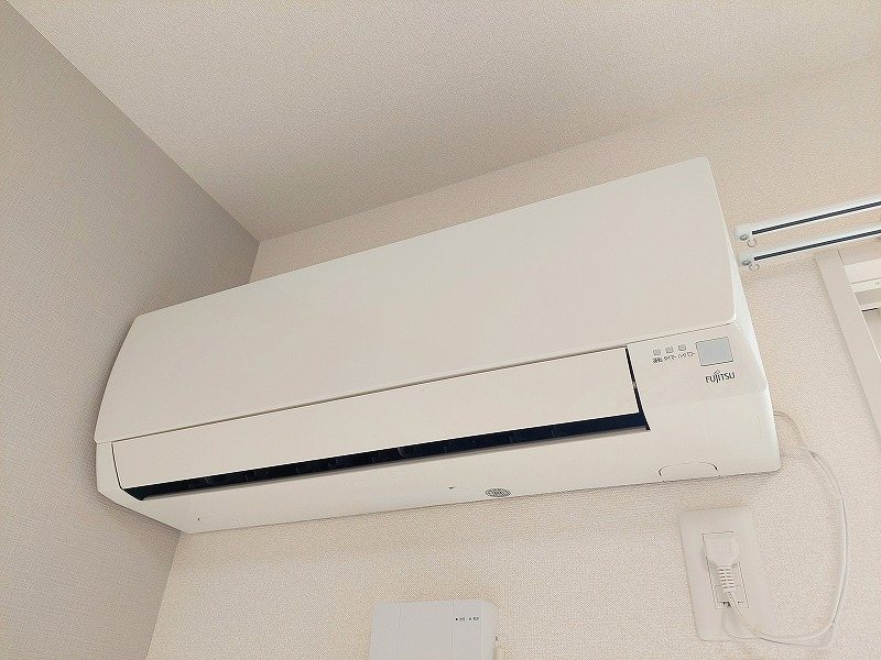 エヴァーグリーン その他24