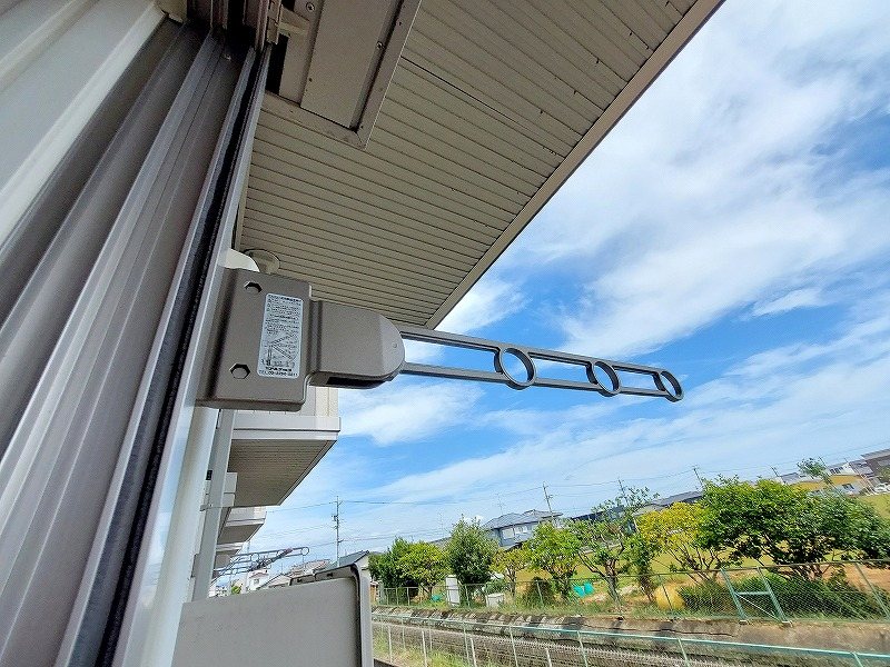 エヴァーグリーン その他27