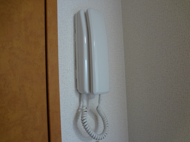 レオパレス樹 その他10