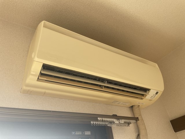 プルメリア その他