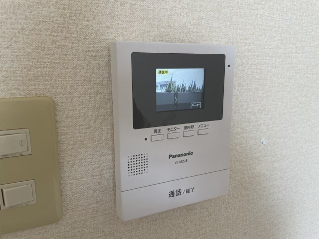 プルメリア その他