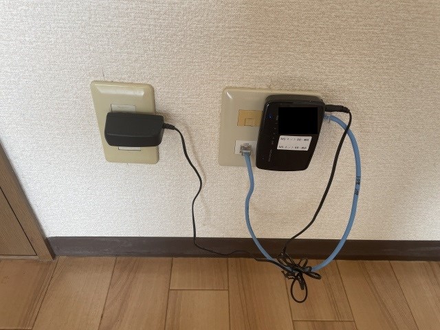 プルメリア その他