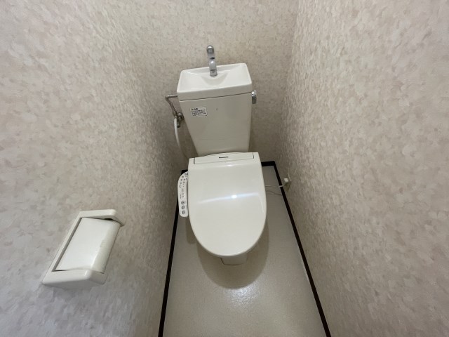 プルメリア その他