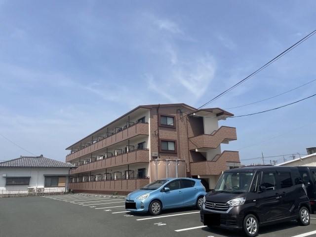 プルメリア その他