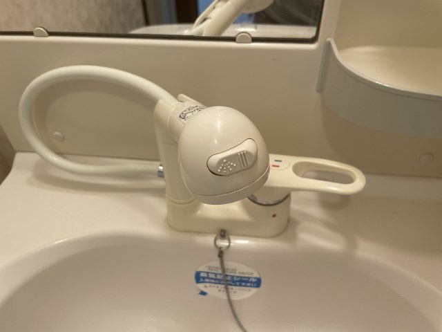 プルメリア その他