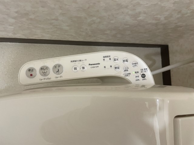 プルメリア その他