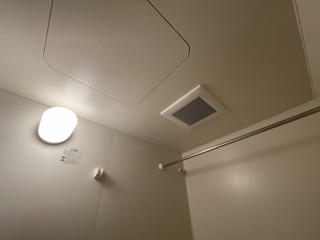 プルメリア その他