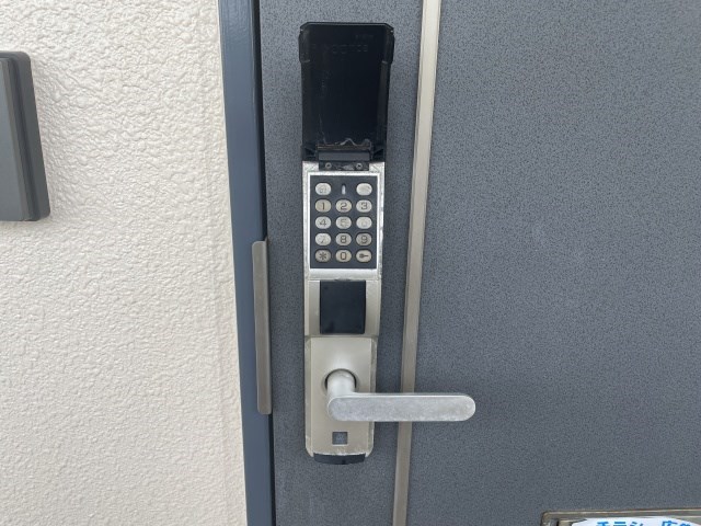 プルメリア その他