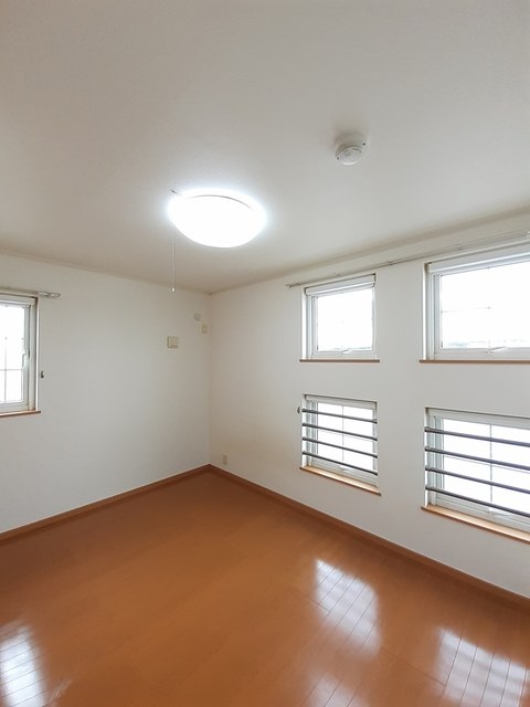 メンフィス その他