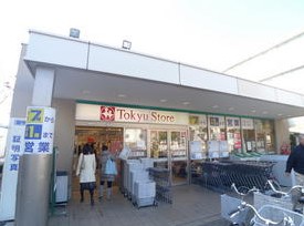 レイク・アベニュー大岡山 周辺画像7