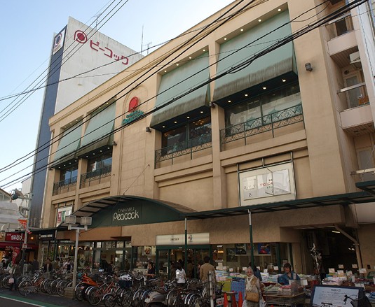 ロイヤルパレス飯島 周辺画像2