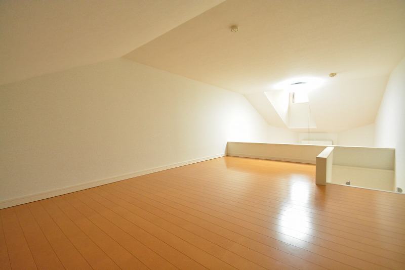 ＭＡＲＩＡＮＡⅠ その他17