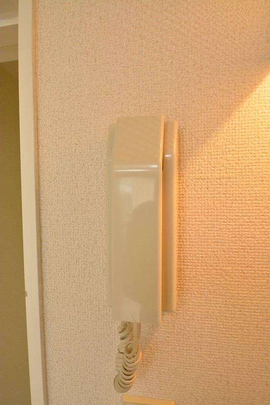 レバレントⅠ その他16
