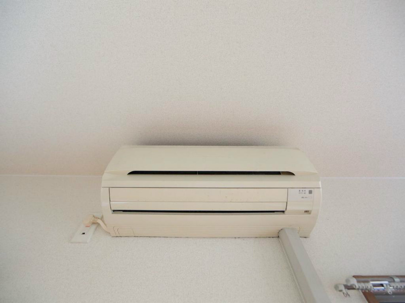 パラシオ その他