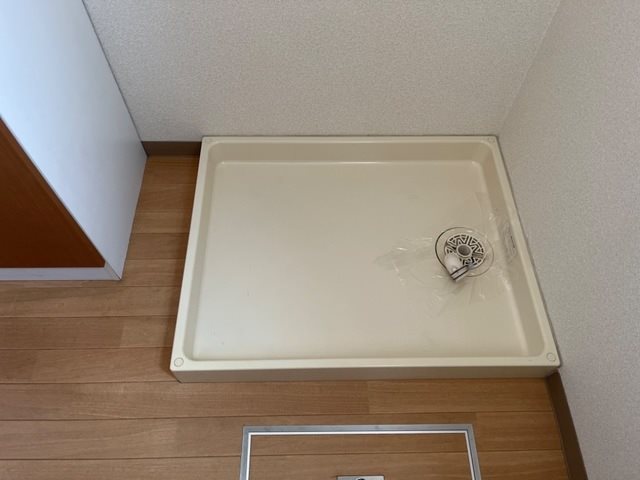 シュガー・N その他
