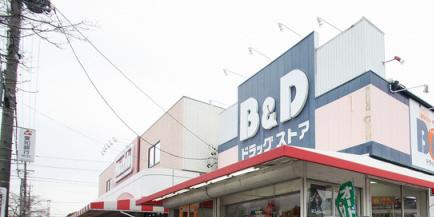 ステラ川西 ドラッグストア