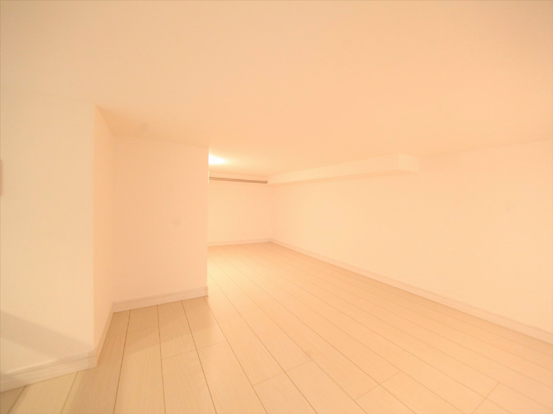 Ｓｏｌｅａ（ソレア）  その他