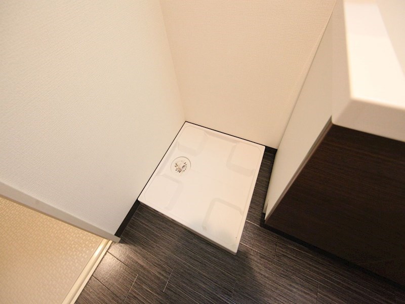 スティングレイつるま 洗面所
