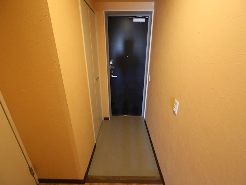 Ｎａｐａｒｔｍｅｎｔ（Ｎアパートメント） 玄関