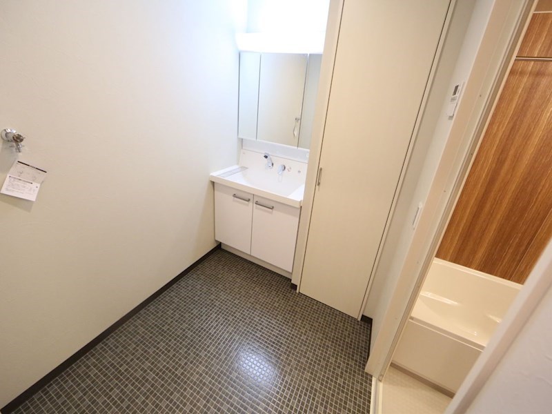 Ｎａｐａｒｔｍｅｎｔ（Ｎアパートメント） 洗面所