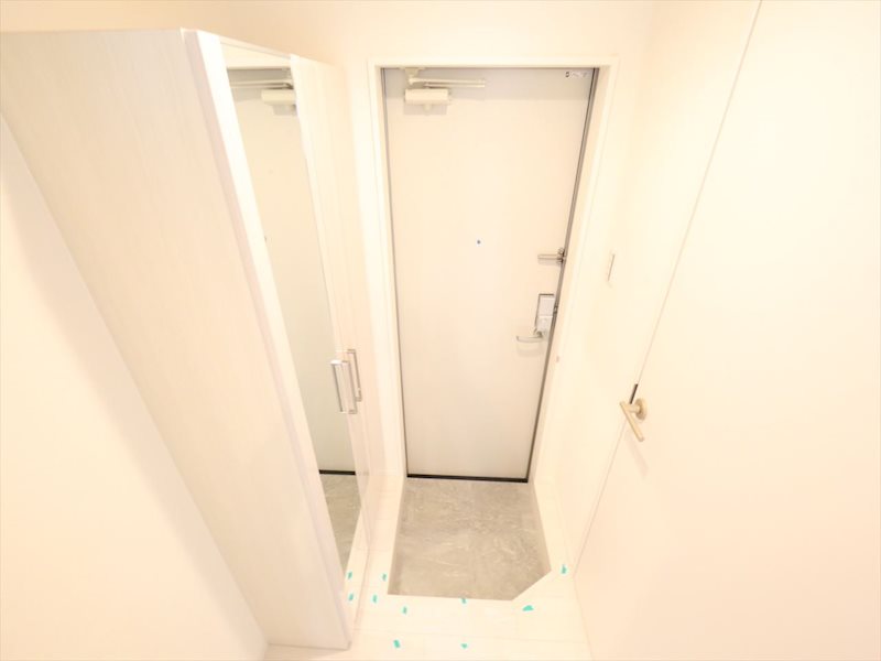 ハーモニーテラス高道町VI 玄関