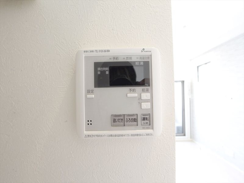 カーバンクル その他