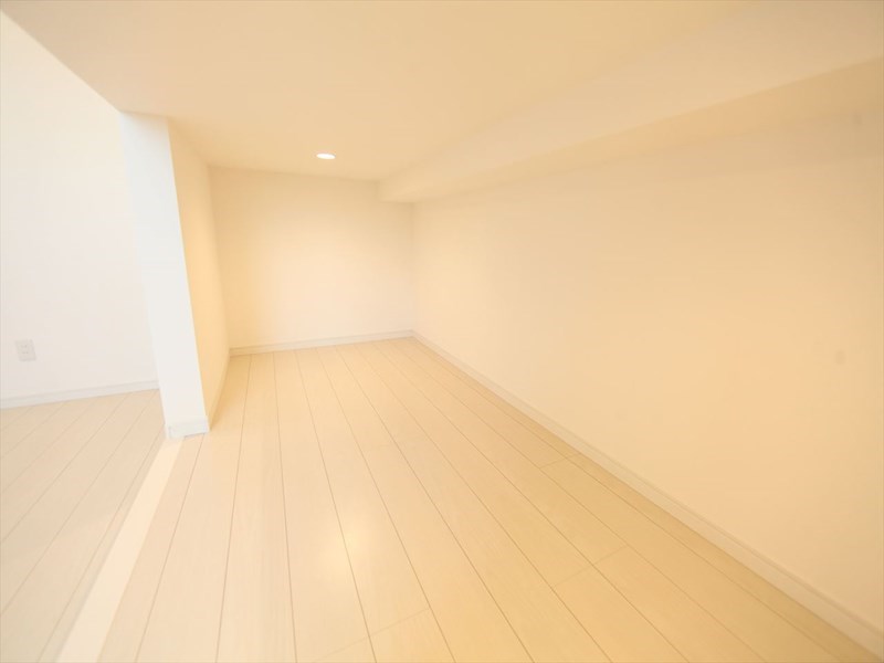 ルミエール十一番町 その他部屋・スペース