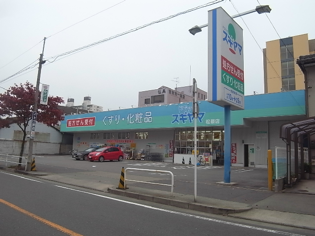 ザ・パークハビオ名古屋松原 ドラッグストア
