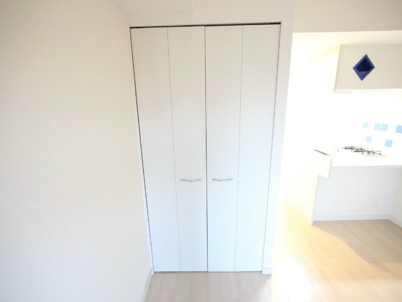 プレサンス上前津リラクシア  収納