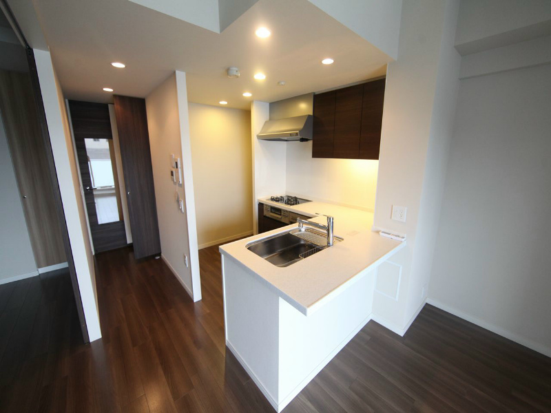 ＴＨＥ　ＳＡＫＡＥ　ＲＥＳＩＤＥＮＣＥ キッチン